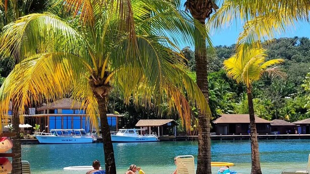 A beach with palm trees, lounge chairs, and a boat in the background. - Anthony's Key Resort (Roatan)