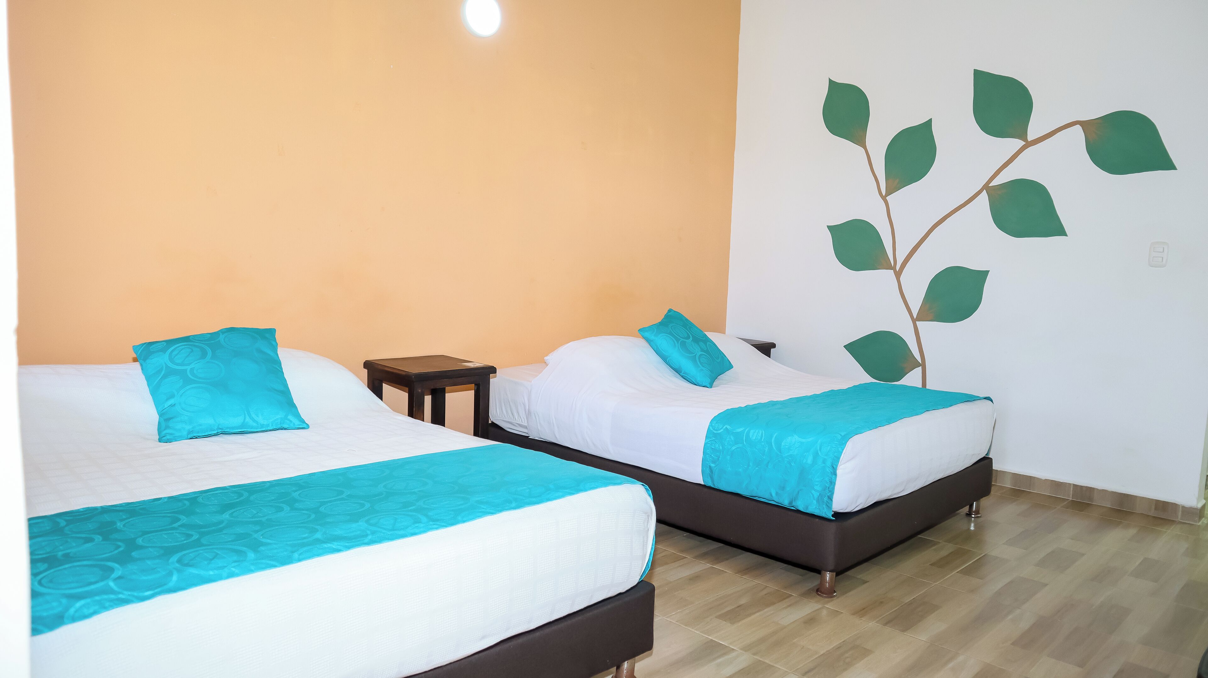 Dos camas individuales con ropa de cama blanca y detalles en color turquesa, una mesita de noche pequeña y una planta en la pared.