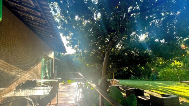 A wooden deck with outdoor furniture, a brick wall, and a garden area with large leaves and a tree.