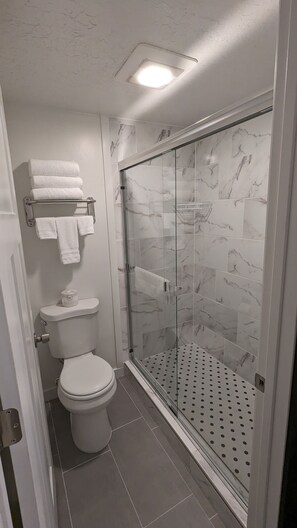 A bathroom with a toilet, a glass shower enclosure, and a towel rack.