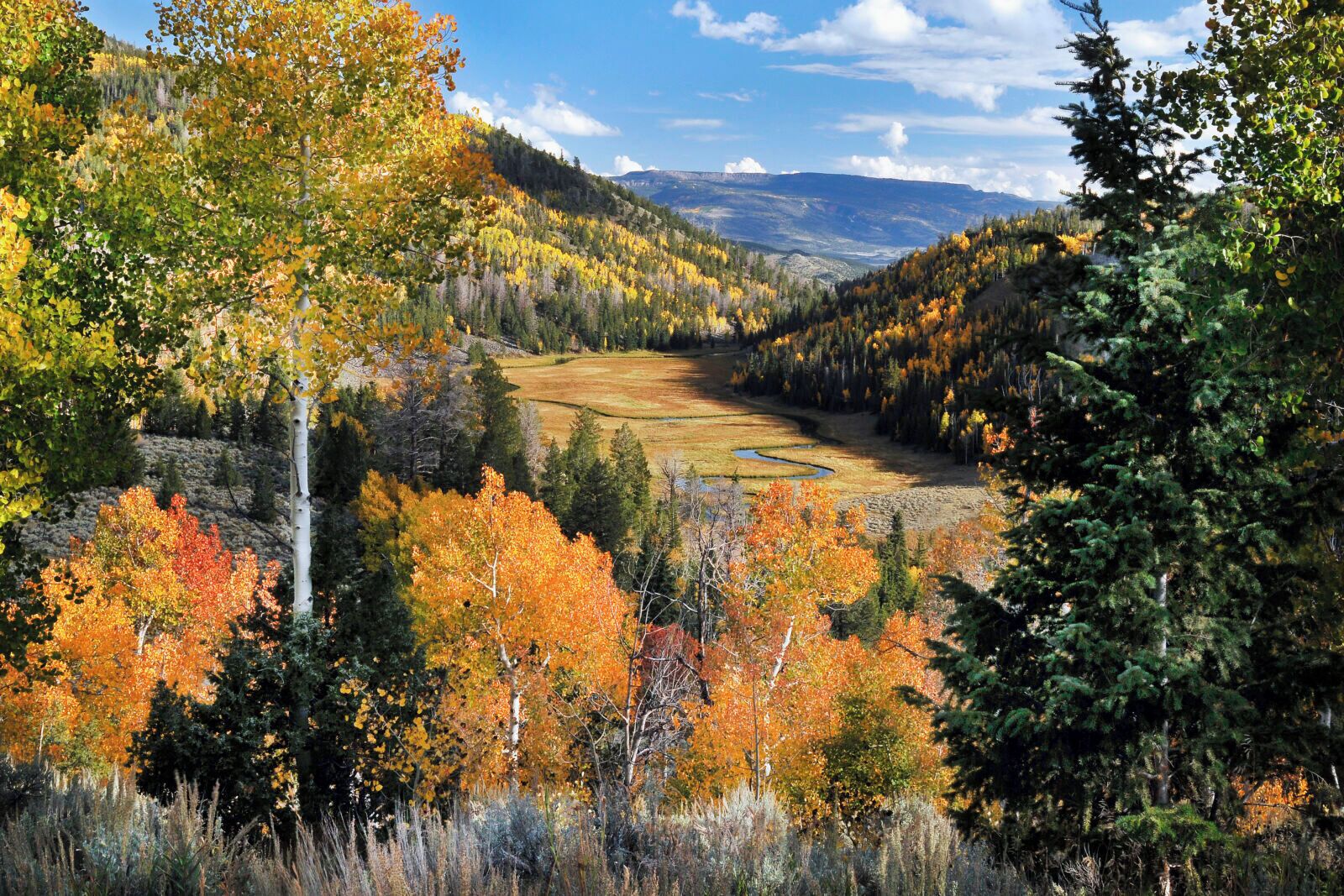A mountainous landscape with autumn foliage, a valley, and distant mountains.
