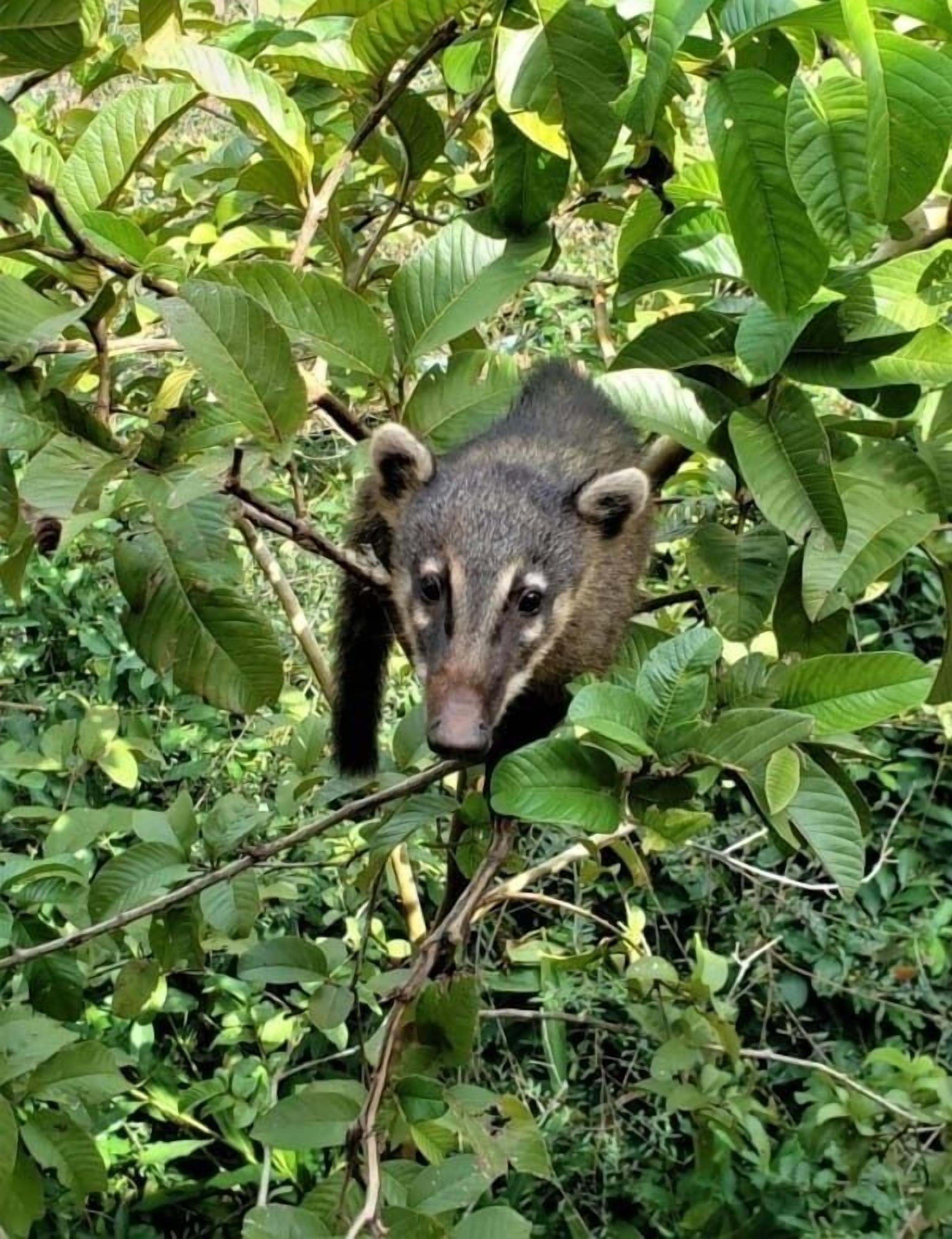 Photo - Tulipa Hotel