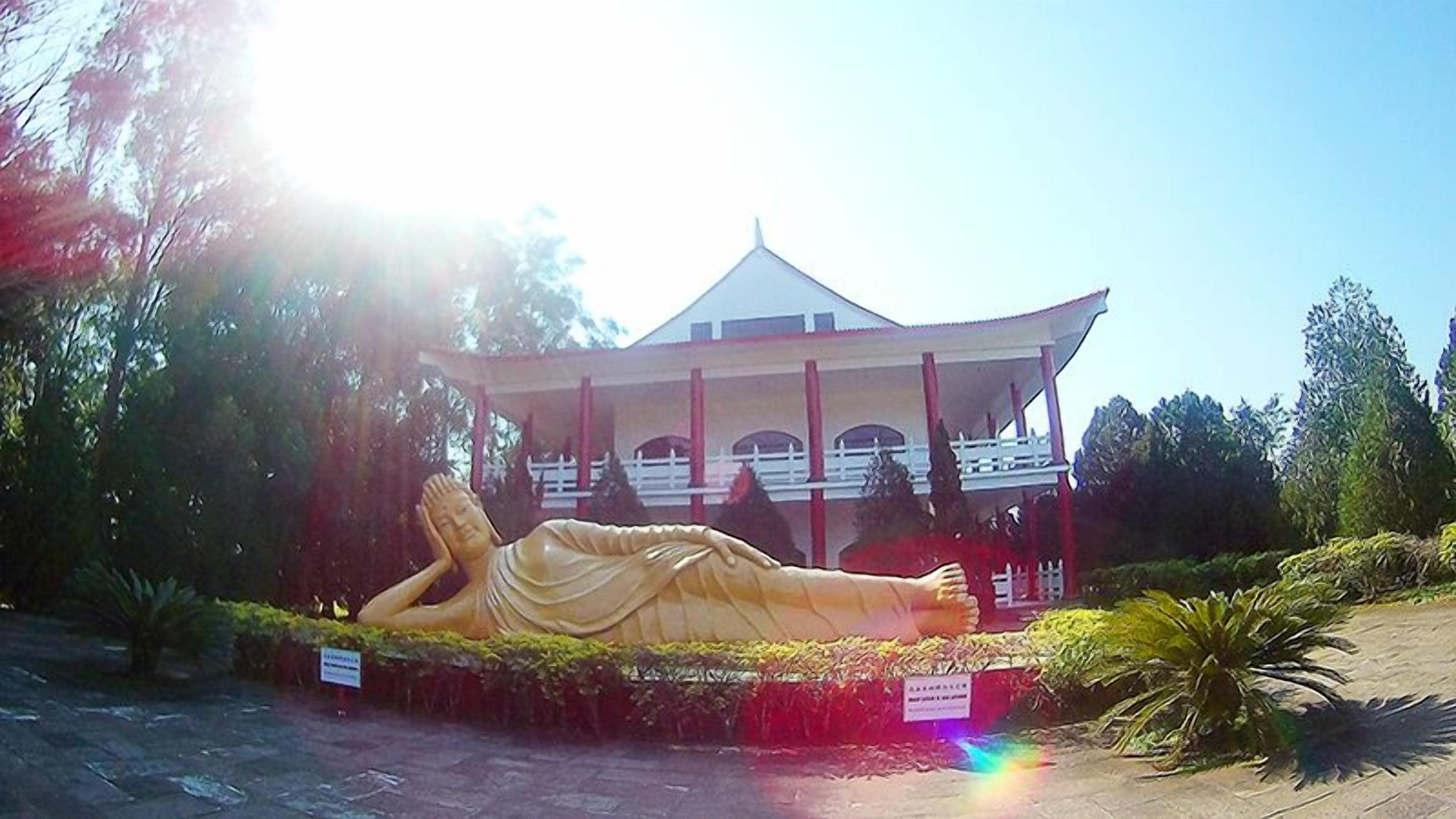 Photo - Hotel Tulipa