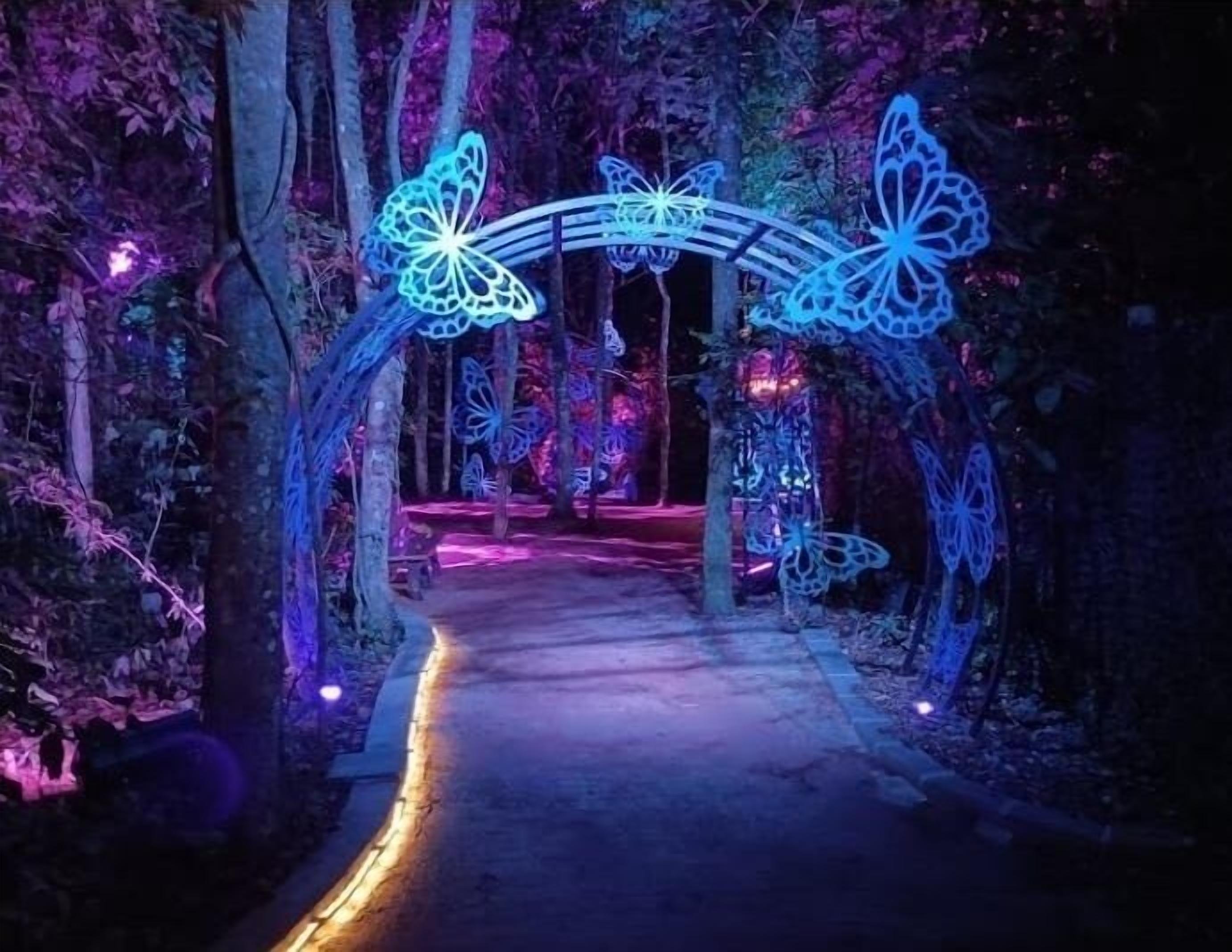 Photo - Tulipa Hotel