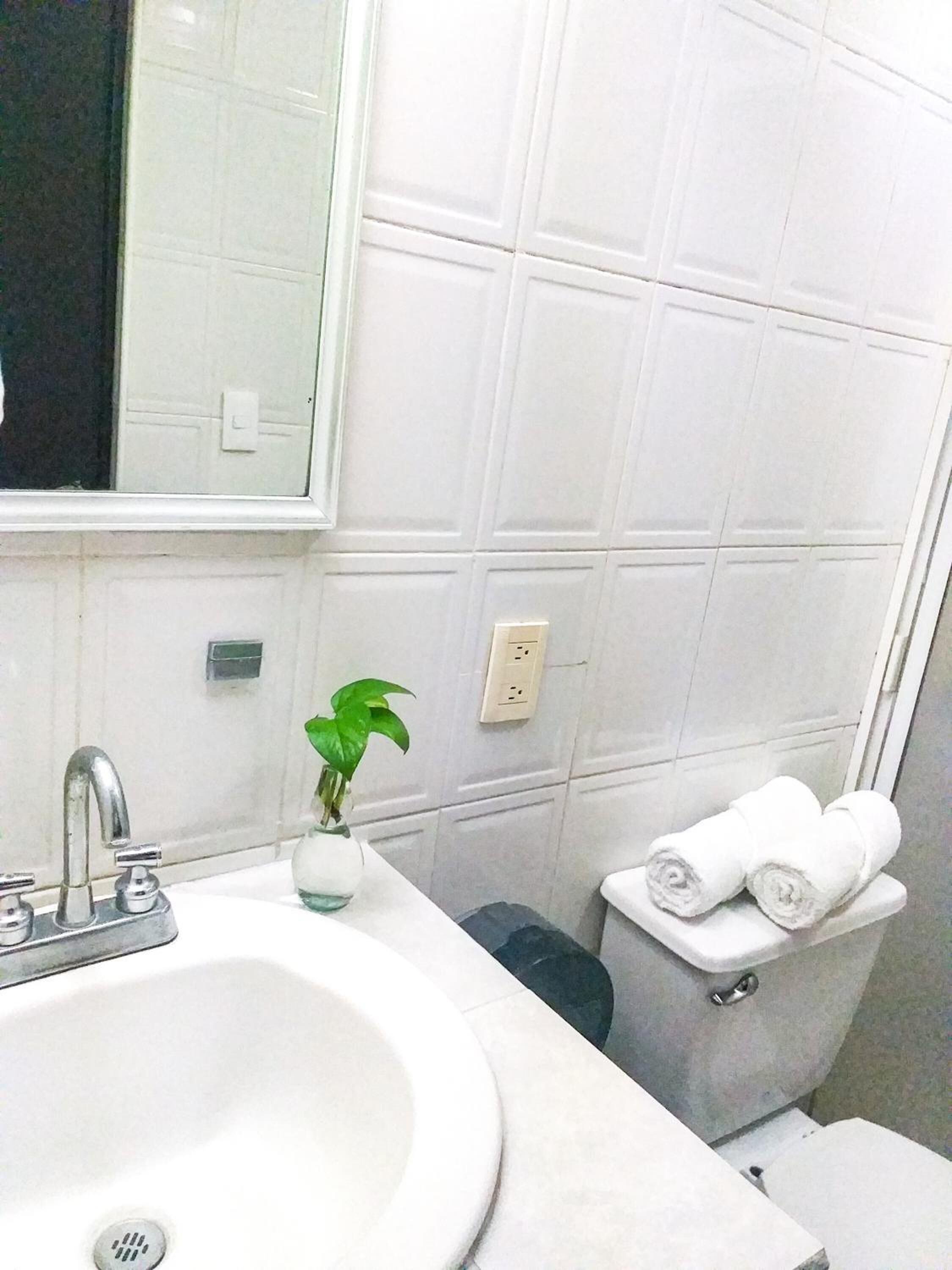 Un baño con un lavamanos blanco, un espejo, un inodoro y una planta pequeña en el mostrador.