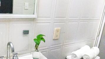 Un baño con un lavamanos blanco, un espejo, un inodoro y una planta pequeña en el mostrador.