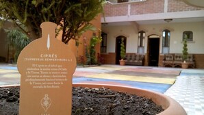 A sign in a courtyard with a potted plant and a building in the background. - Hotel y Restaurante Casa Texel (Panajachel)