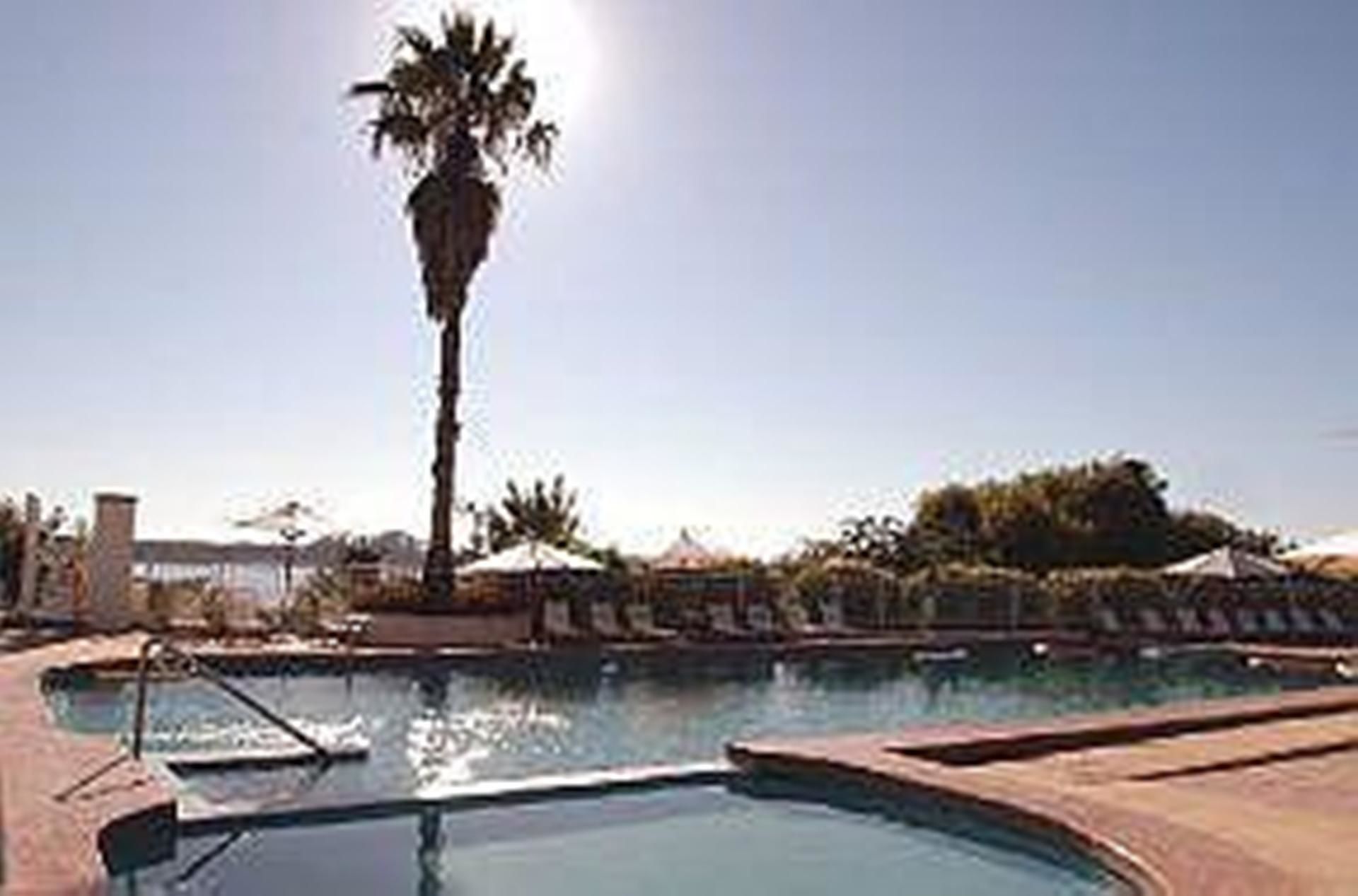 A swimming pool with a palm tree and lounge chairs in the background.