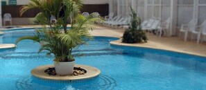 A pool with a central island featuring a potted plant.