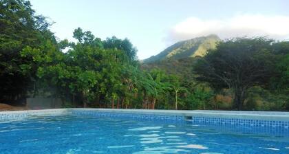 Posada Casa Las Trinitarias