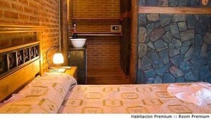 A room with a bed, a nightstand, a lamp, a sink, and a stone wall. - Hosteria Lauquen Pilmaiquen y Spa (Merlo)