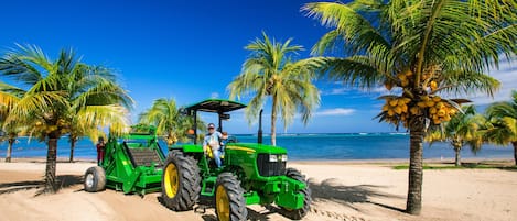 Condo, 1 Bedroom, Garden View | Pantai