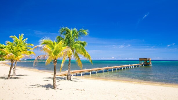 Una playa con palmeras, un muelle de madera y agua azul cristalina.