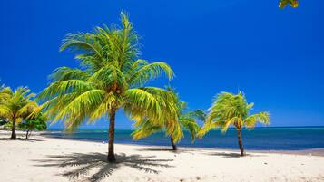Condo, 2 Bedrooms, Terrace, Garden View | Beach