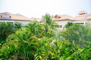 A lush garden with various tropical plants and palm trees in front of a building with a red-tiled roof.