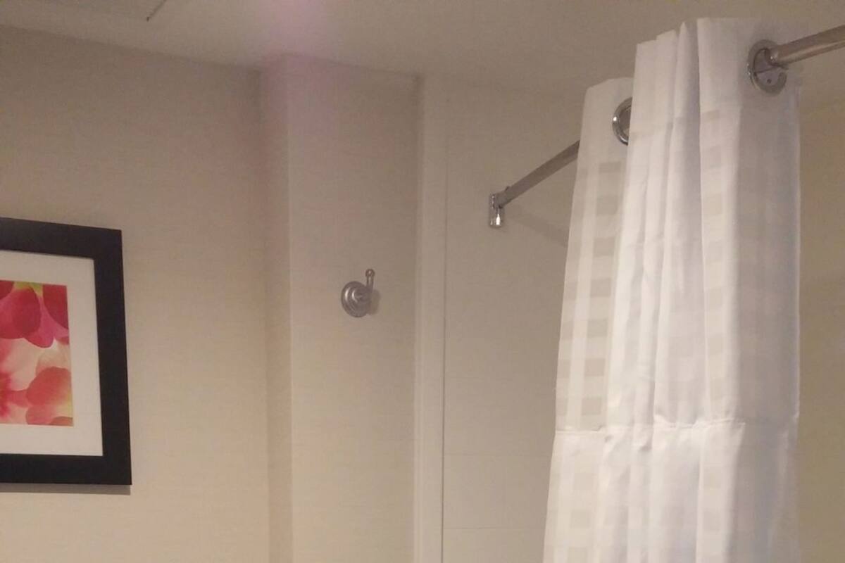A bathroom with a toilet, shower, and a framed picture on the wall.