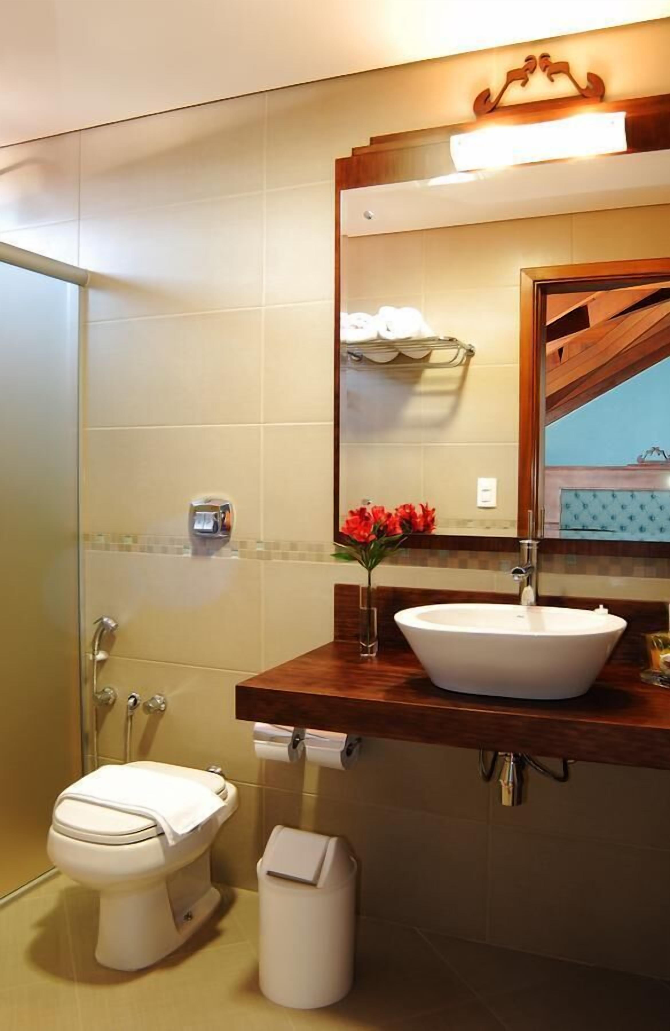A bathroom with a white toilet, a sink with a mirror above it, and a glass shower enclosure.