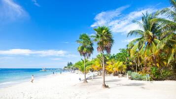 Casa geminada, 2 quartos, vista para o jardim | Praia | Na praia