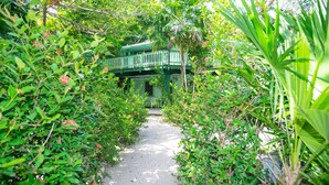 A pathway leading to a green-roofed building surrounded by dense foliage. - Playa Bonita Studio (Roatan)