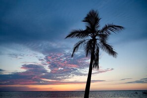 Nhà liên kế, 1 phòng ngủ, quang cảnh vườn | Quang cảnh biển