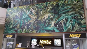 Un comptoir de location de voitures Hertz, surmonté d’une grande fresque représentant des feuilles tropicales.