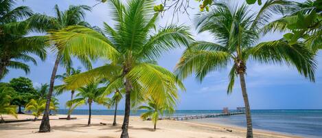 Villa, 2 Bedrooms, Sauna, Ocean View | Beach