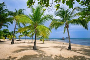A beach with palm trees and a pier extending into the water. - Spooky Channel Villa (Roatan)