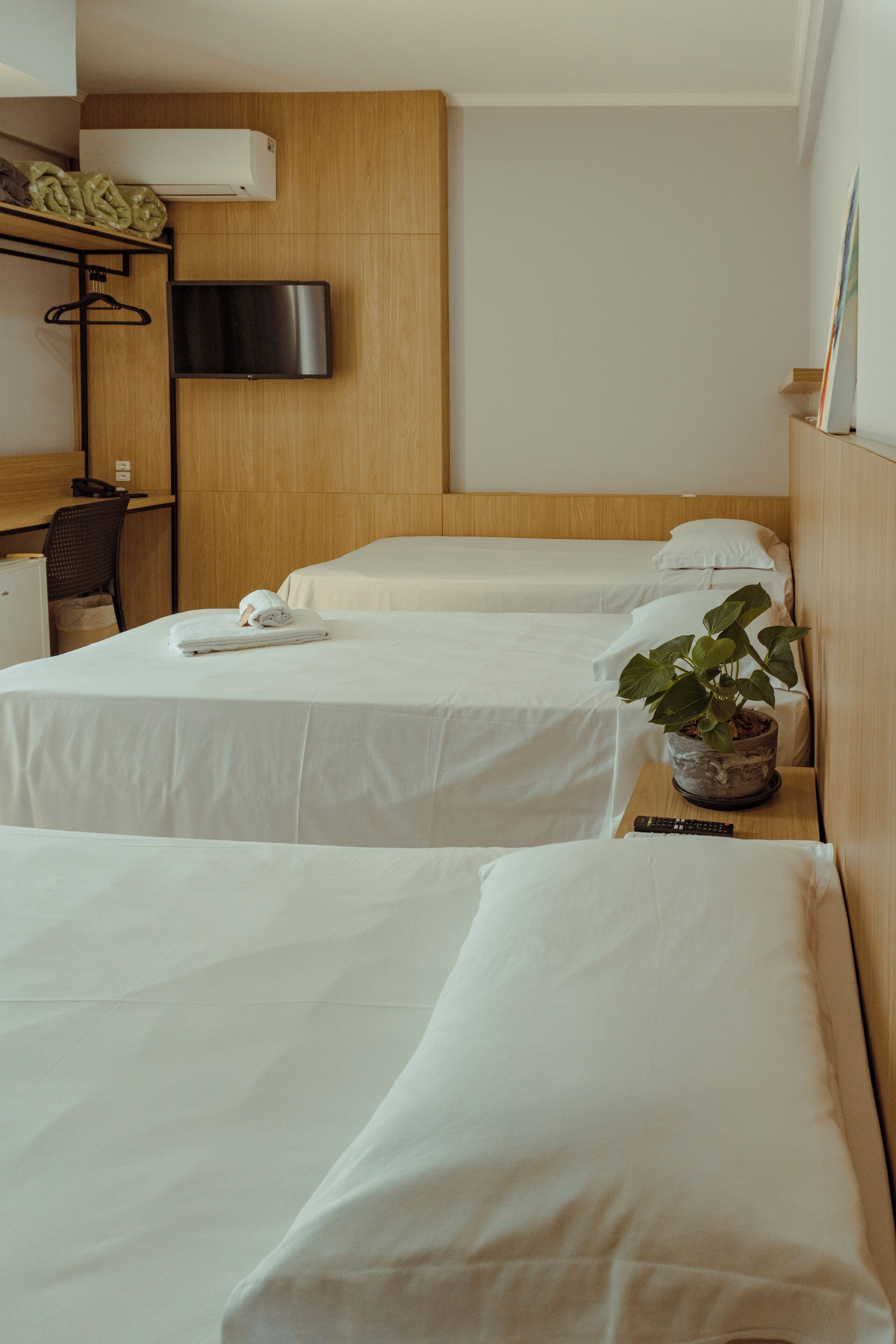 A hotel room with three beds, a TV, a desk, and a potted plant.