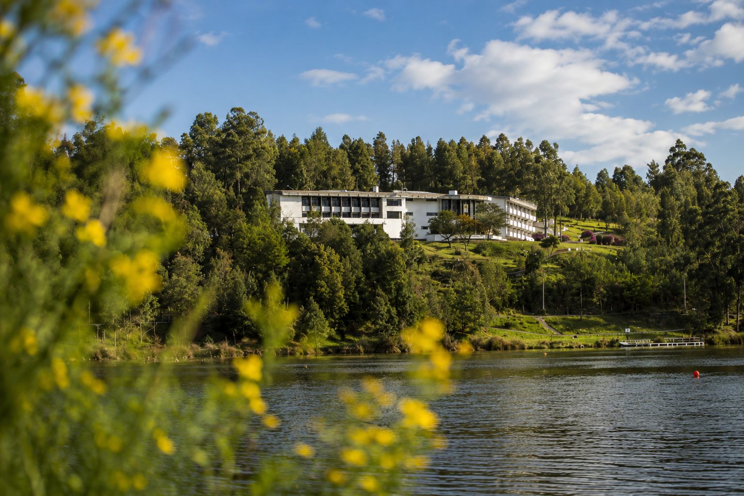 A modern building with a flat roof, surrounded by dense greenery and a body of water.