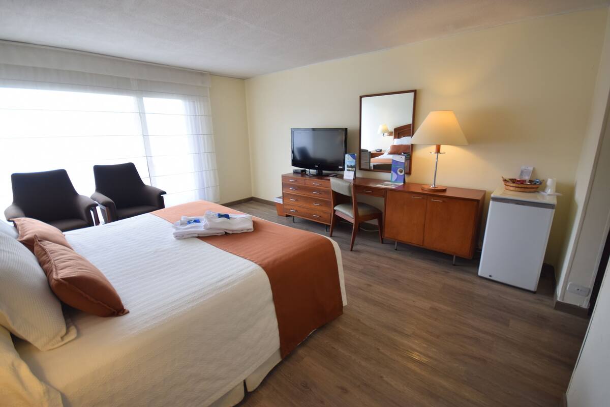 standard room | minibar, in-room safe, desk, free wifi