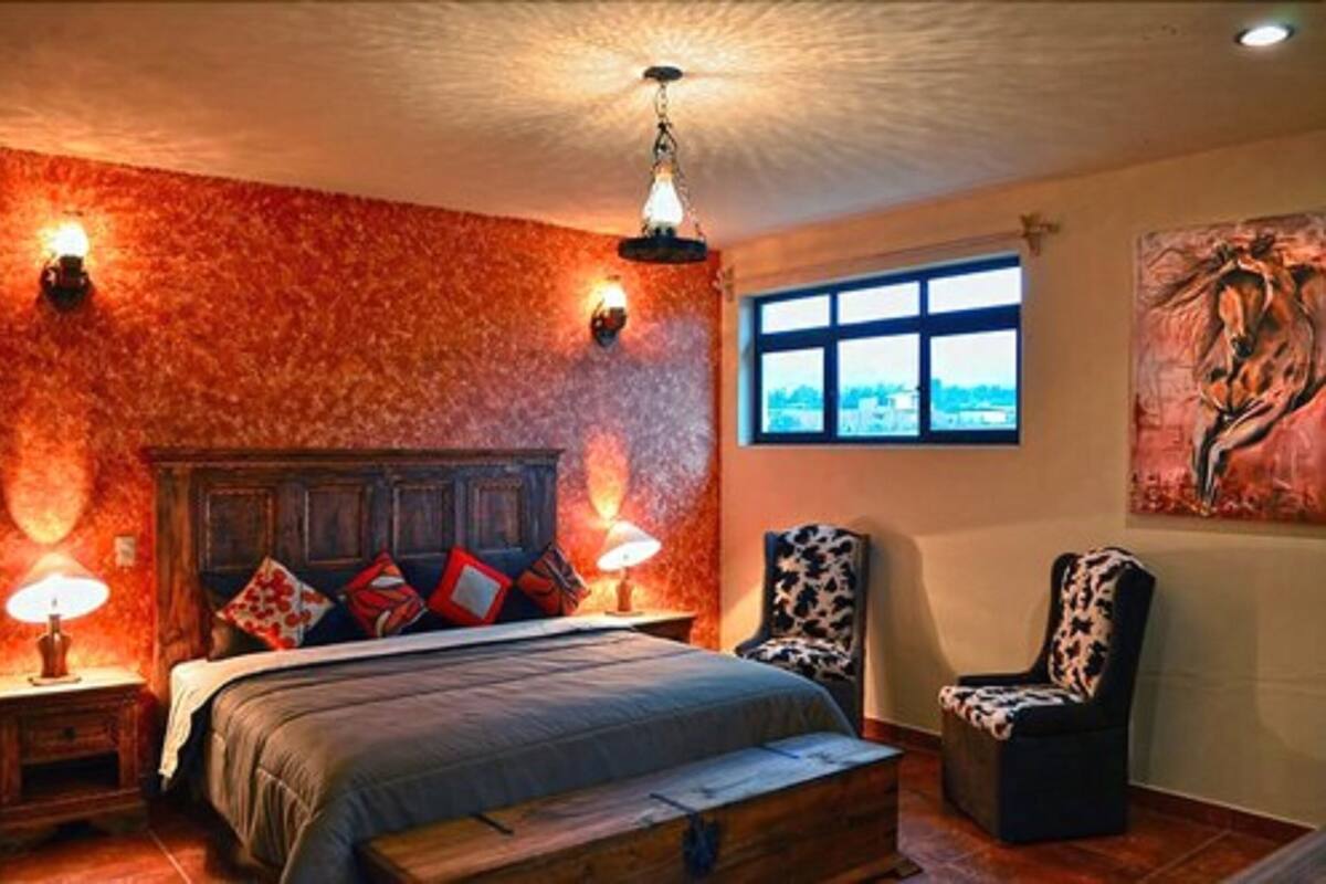 Room, 1 King Bed