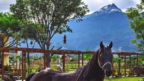 Horse riding - Chalet de Colombo Hotel (Zapotlán el Grande)