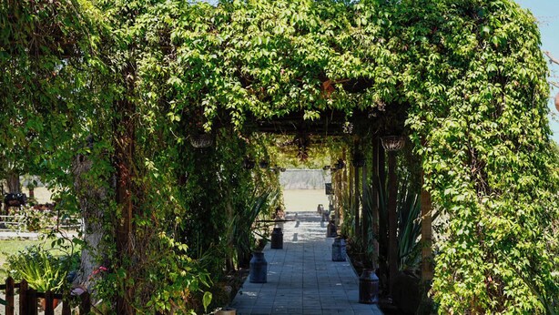 A pathway under a vine-covered archway leading to a building. - Chalet de Colombo Hotel (Zapotlán el Grande)
