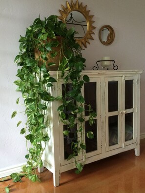 Muebles diferentes, escritorio y espacio para trabajar con laptop