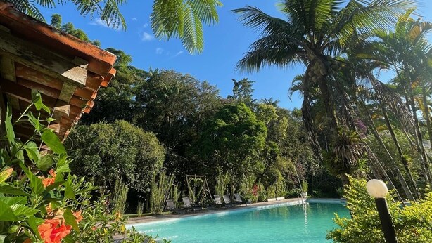 Une piscine à l’eau d’un bleu cristallin, entourée d’une végétation luxuriante et de palmiers.