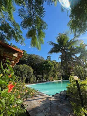 Zona de piscina con agua cristalina, rodeada de exuberante follaje y palmeras.