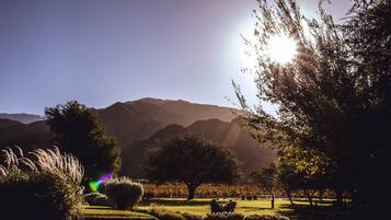 Un parque con un árbol grande, un banco y montañas al fondo.