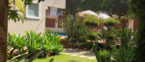 A garden with various plants, a small pool, and a building with a window.