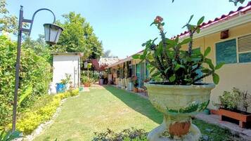 Stroll through the beautifully maintained garden, lined with lush greenery and vibrant potted plants, leading to a charming building with a red-tiled roof.