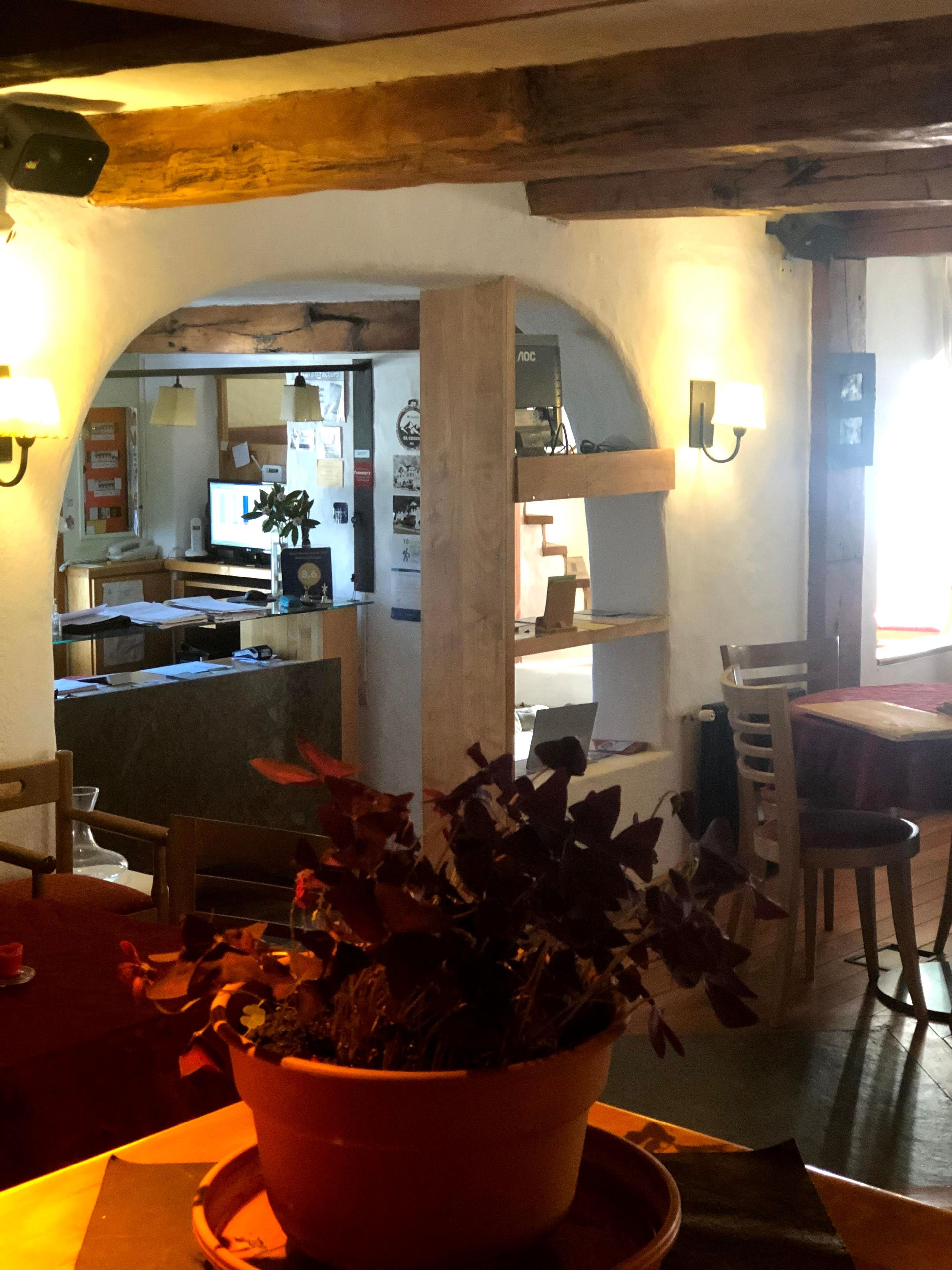 Interior de restaurante con techo de madera, una planta en la mesa y una barra con un monitor de computadora.