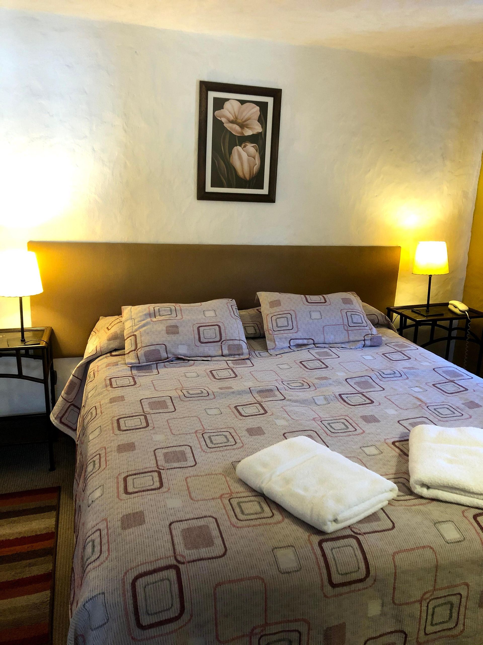 Una habitación de hotel con una cama, dos lámparas de noche, una obra de arte floral enmarcada en la pared, y una cama bien hecha con colcha y almohadas estampadas.