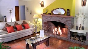 Una sala de estar con chimenea, un sofá con cojines, una mesa de centro y una planta.