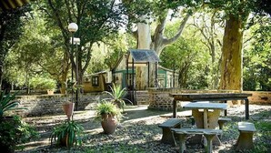 A rustic outdoor seating area with stone tables and benches, surrounded by potted plants and a large tree. - El Molino - Complejo Turístico (Victoria)