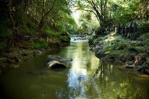 A narrow river with a concrete structure in the middle, surrounded by dense greenery and trees.