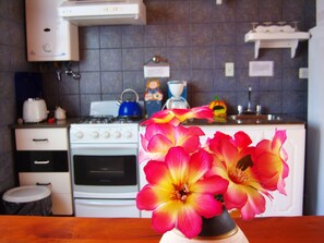 Full-size fridge, microwave, oven, stovetop
