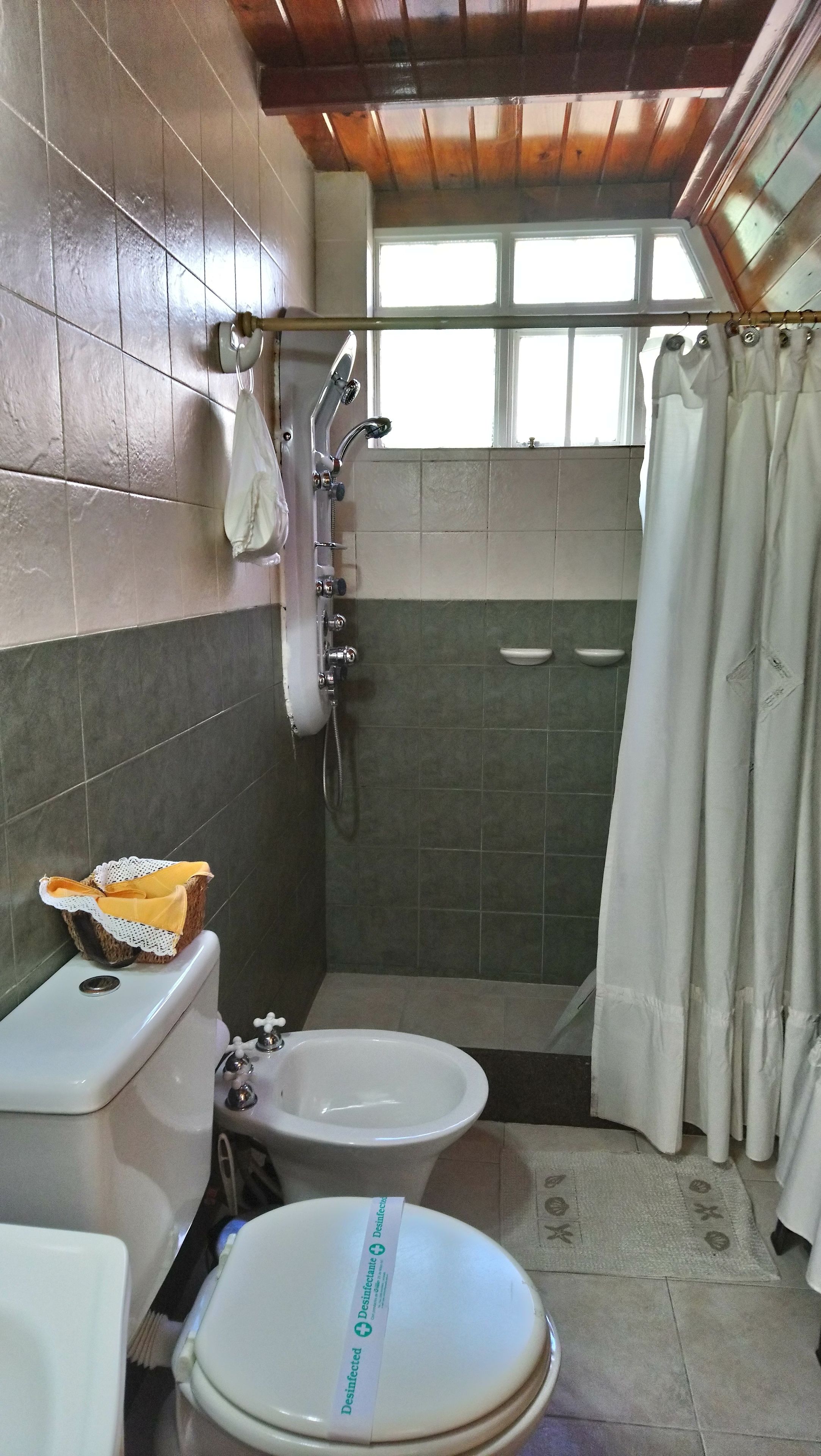A bathroom with a toilet, bidet, and shower area.