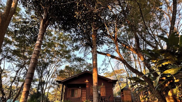 A rustic wooden cabin with a staircase leading up to it, surrounded by dense foliage and trees. - Costa del Sol Iguazú (Puerto Iguazú)