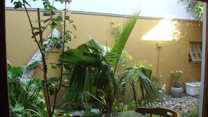 Une table en verre entourée de chaises, située dans un espace jardin agrémenté de diverses plantes, avec un mur jaune en arrière-plan.