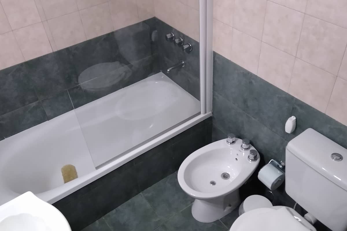 combined shower/bathtub, free toiletries, bidet, towels