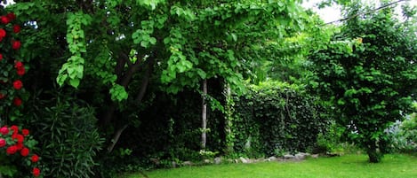 Ulkoalueet